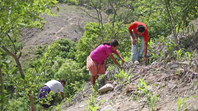 ASB lanza Programa Humanitario en respuesta a la sequía en Centroamérica