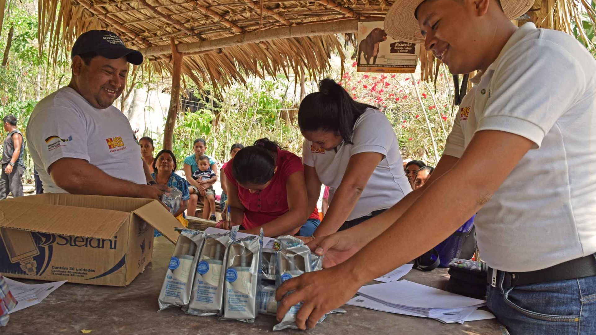 Fortalecimiento De La Resiliencia De Familias Campesinas Afectadas Por ...