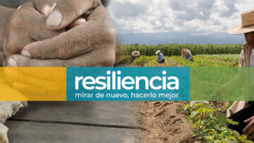 Resiliencia: Mirar de nuevo, hacerlo mejor