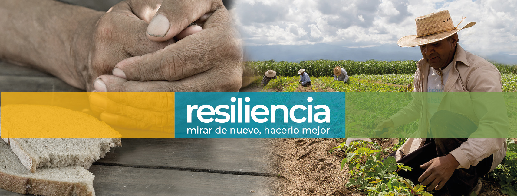 Resiliencia: Mirar de nuevo, hacerlo mejor