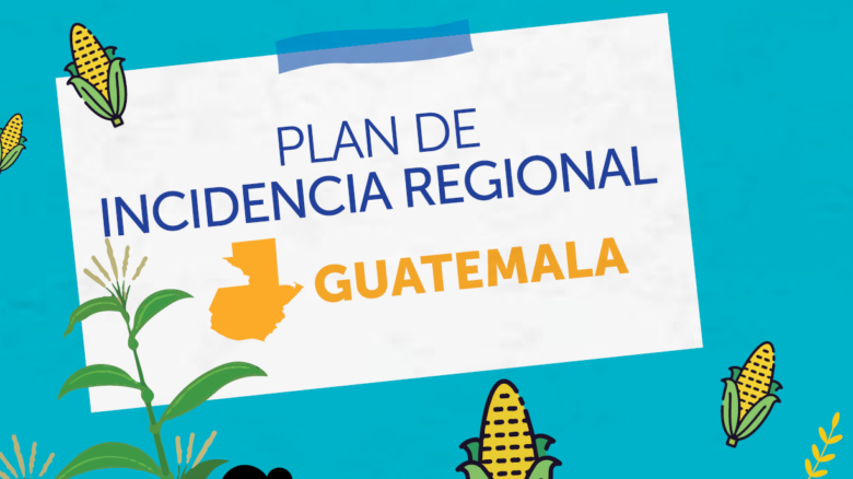Plan incidencia Regional Guatemala 2021