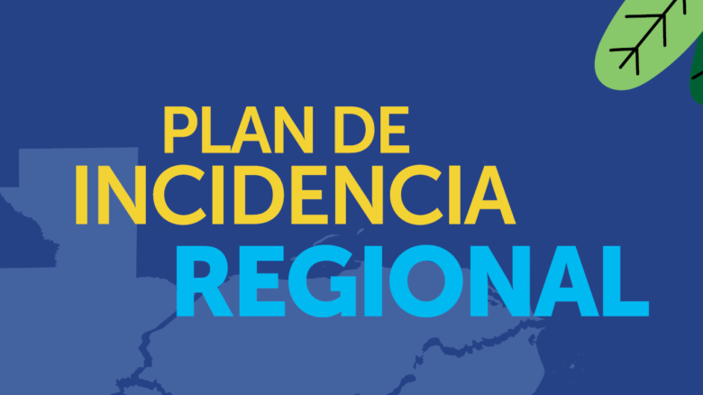 Plan incidencia Regional 2021