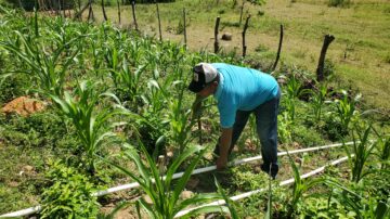La calma tras la tormenta: lecciones aprendidas y apostar por la resiliencia